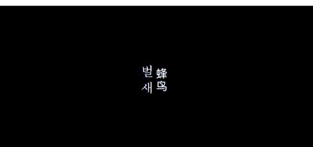 久久久精品久久久999的相关介绍