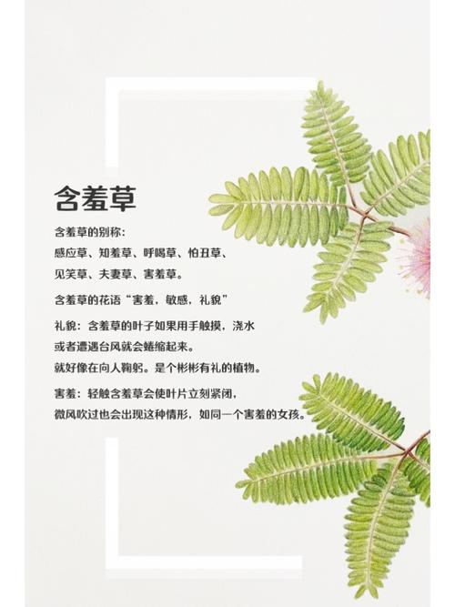 精油按摩舒缓疲劳指南：提升睡眠质量的全身放松技巧