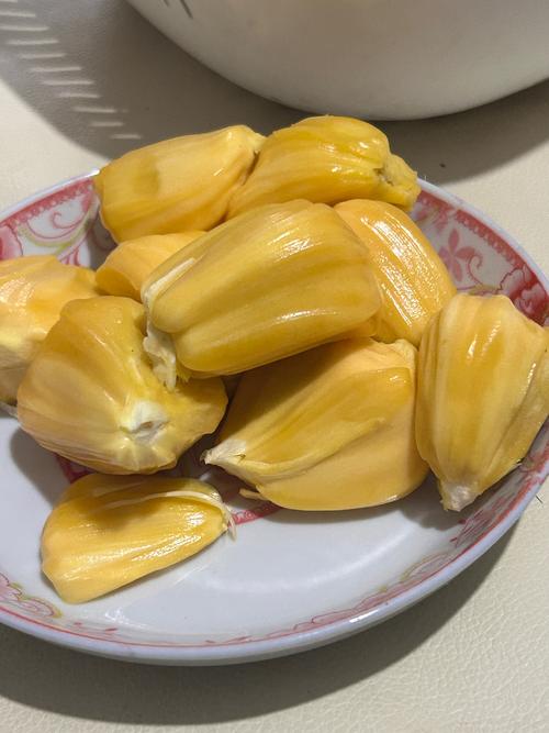 日韩 人妻 啪啪的相关介绍