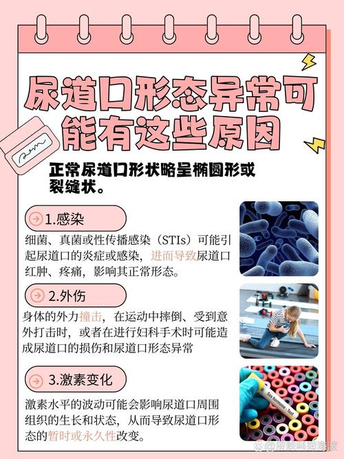 微微影院的相关介绍