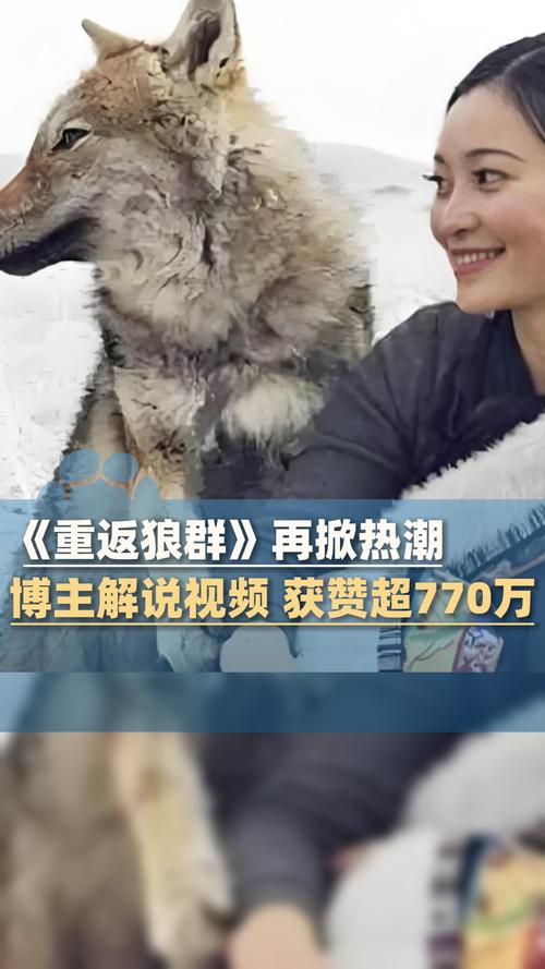 筷子影院 - 在线免费追剧神器，海量高清影视资源极速播放