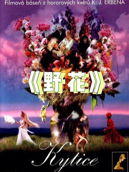 浮力电影院在线观看 | 2025最新高清热门影视资源 | 浮力电影院免费追剧无广告
