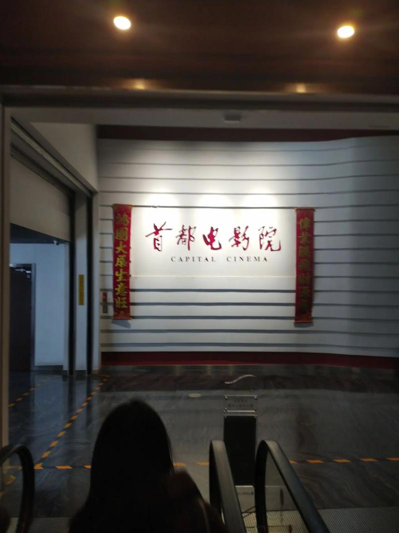 老司机影院精品视频免费观看 - 最新高清无广告在线播放，经典影片免费畅享，每日更新热门资源
