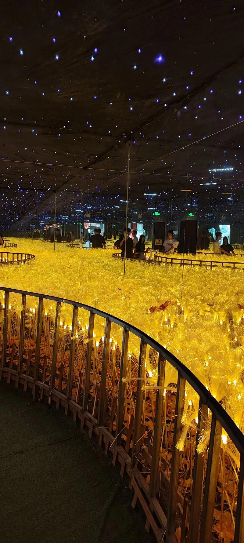 777影院院 - 在线免费追剧神器，最新热播电影电视剧高清无广告观看