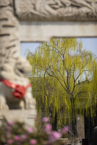 小木屋手机影院 - 免费在线追剧神器 | 高清无广告观影 | 最新热门影视资源