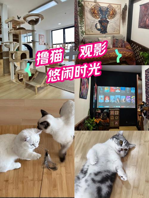 h动漫18岁禁在线看网站的相关介绍