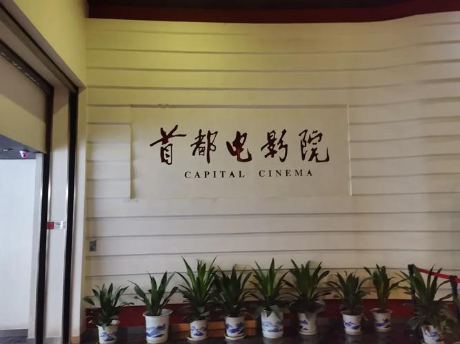 青苹果影院手机版的相关介绍