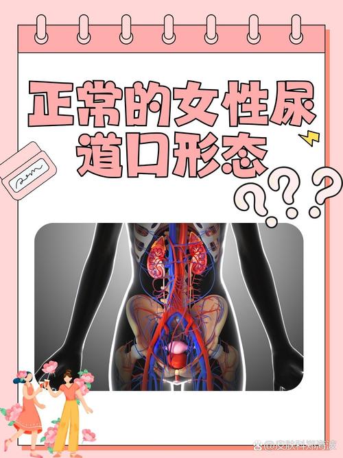 高潮毛片无遮挡高清的相关介绍